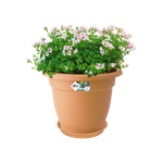 green basics saucer 34cm mild terra